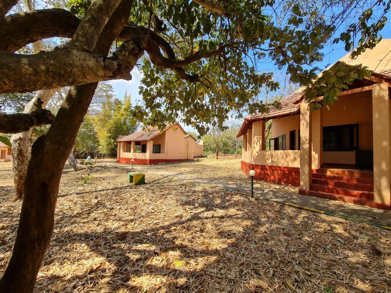 The Country Club Wildlife Resorts Bandipūr Kültér fotó